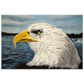 dd597c98-744e-44de-8c21-50a4fa85f908
